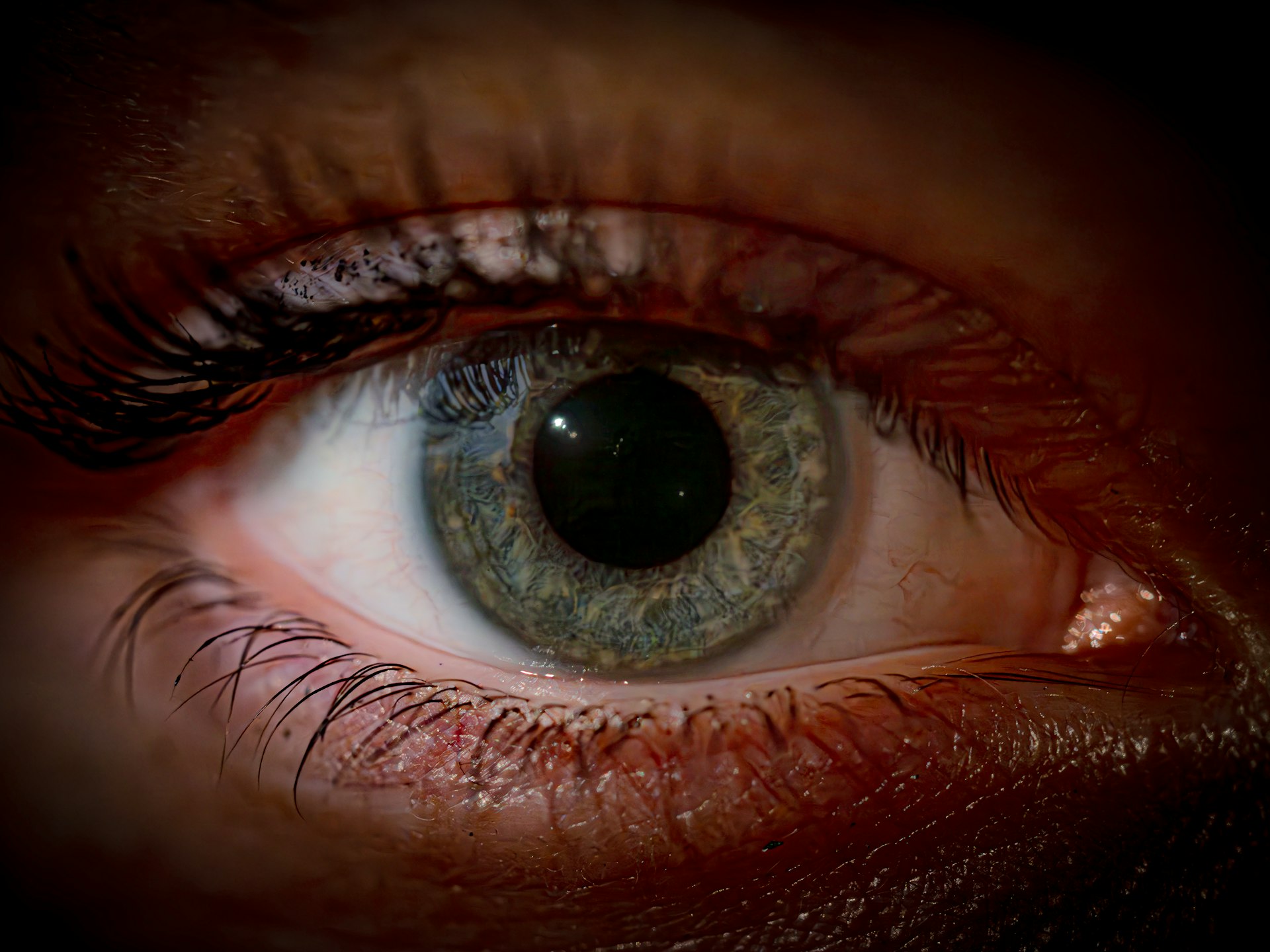 a close up of a person's blue eye